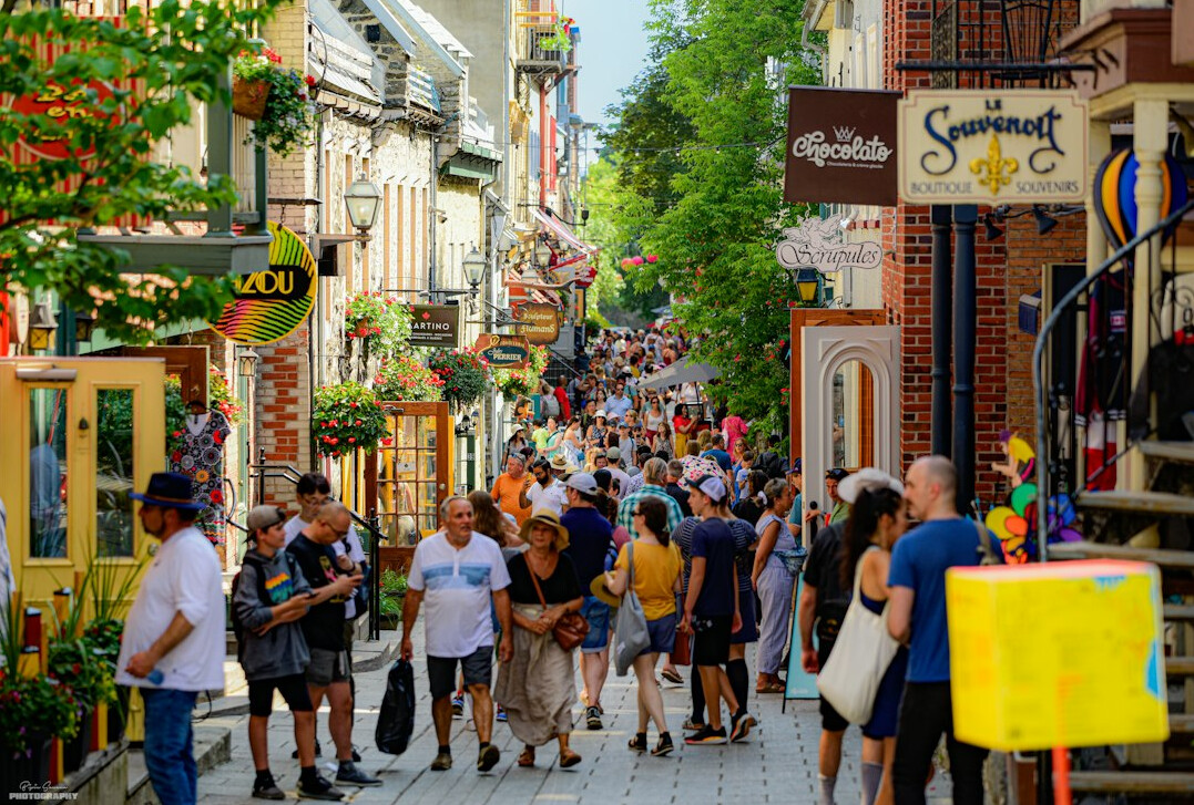 Diverse vendors and shoppers at a busy Canadian street market